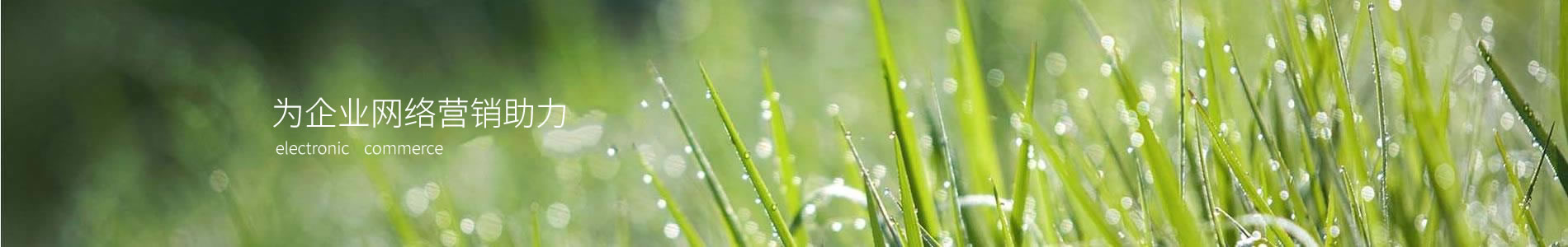 ݸǰװƼ޹˾